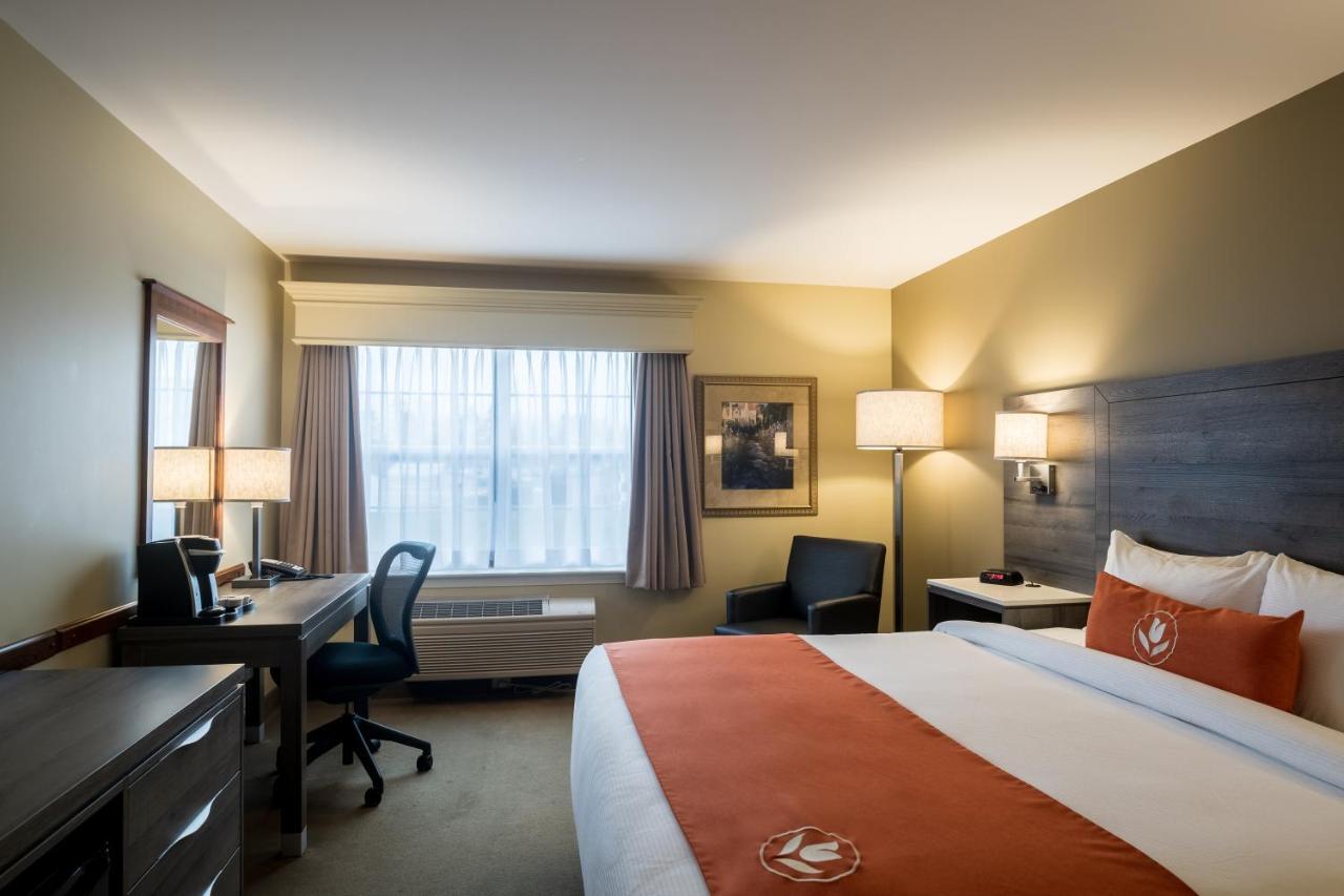 Amsterdam Inn & Suites Moncton Zewnętrze zdjęcie