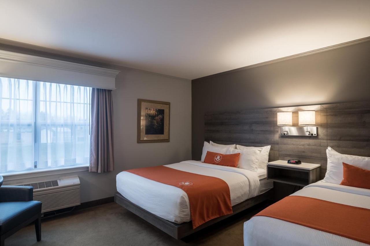Amsterdam Inn & Suites Moncton Zewnętrze zdjęcie