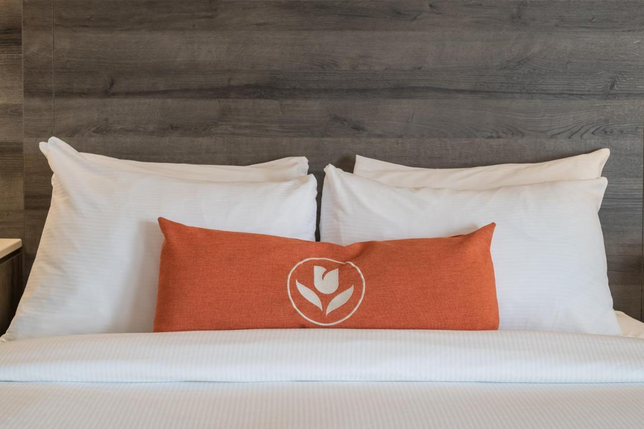 Amsterdam Inn & Suites Moncton Zewnętrze zdjęcie